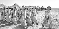Чернобыль: Зона отчуждения